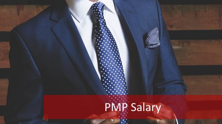 2023-pmp-salary-all-aspects-how-much-will-you-earn-if-you-get-pmp