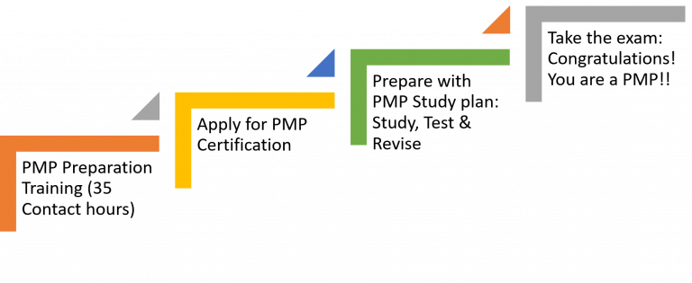 2024 PMP Salary All Aspects: How much will you earn if you get PMP?