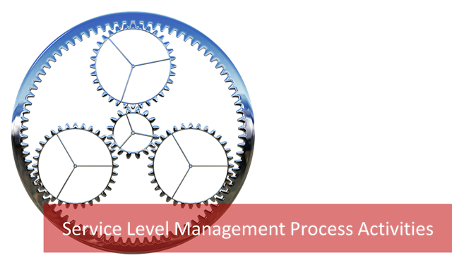 management process activities