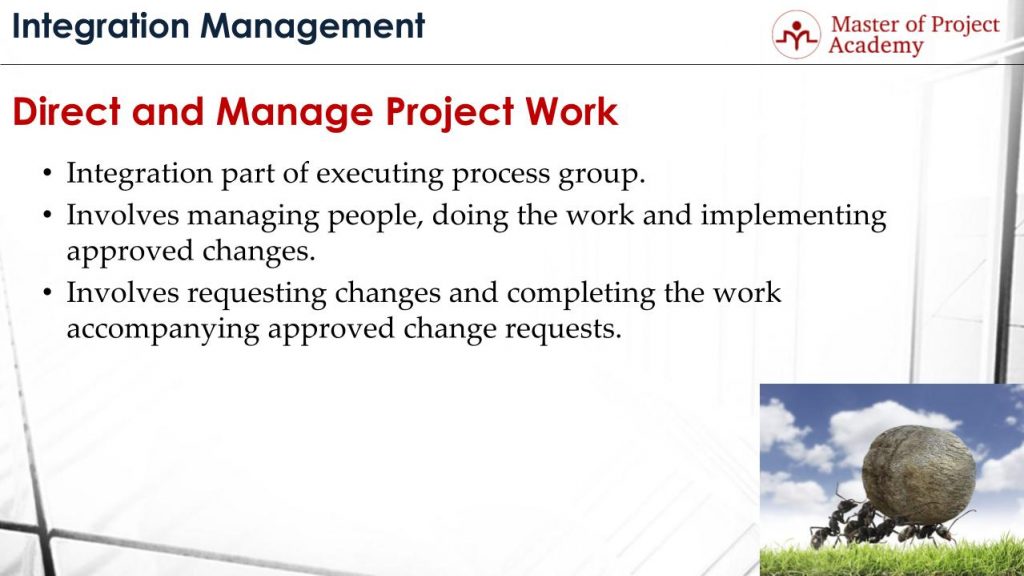 Direct and Manage Project Work