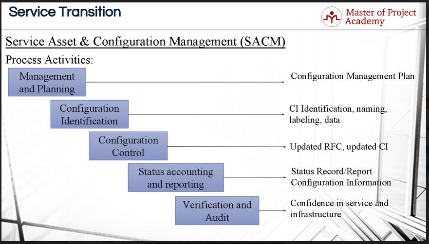 management process activities