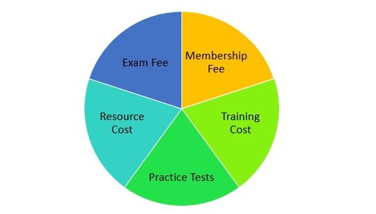 CAPM Certification Cost