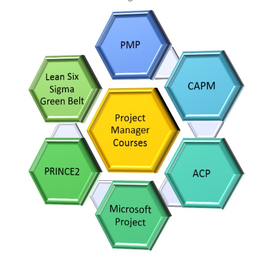 Project Manager courses