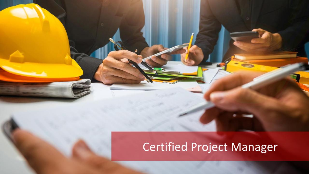 Master of project management