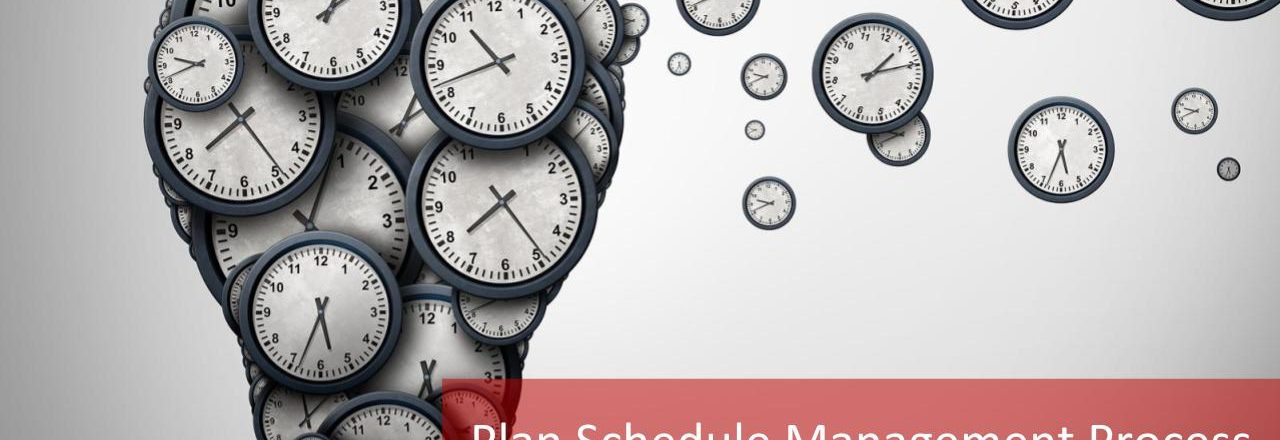 Plan Schedule Management Process