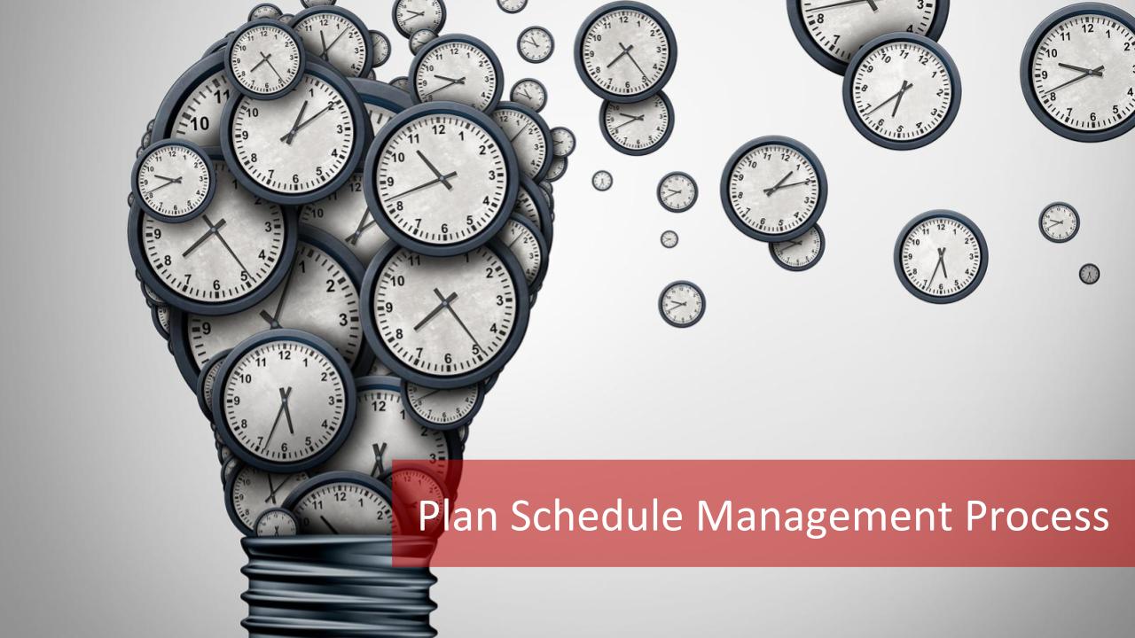 Plan Schedule Management Process