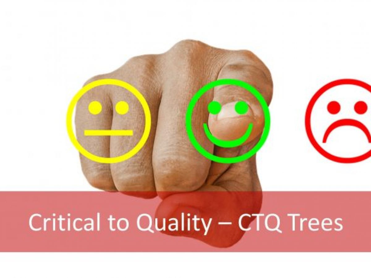 Six Sigma Critical to Quality: 7 Steps to Produce CTQ Tree