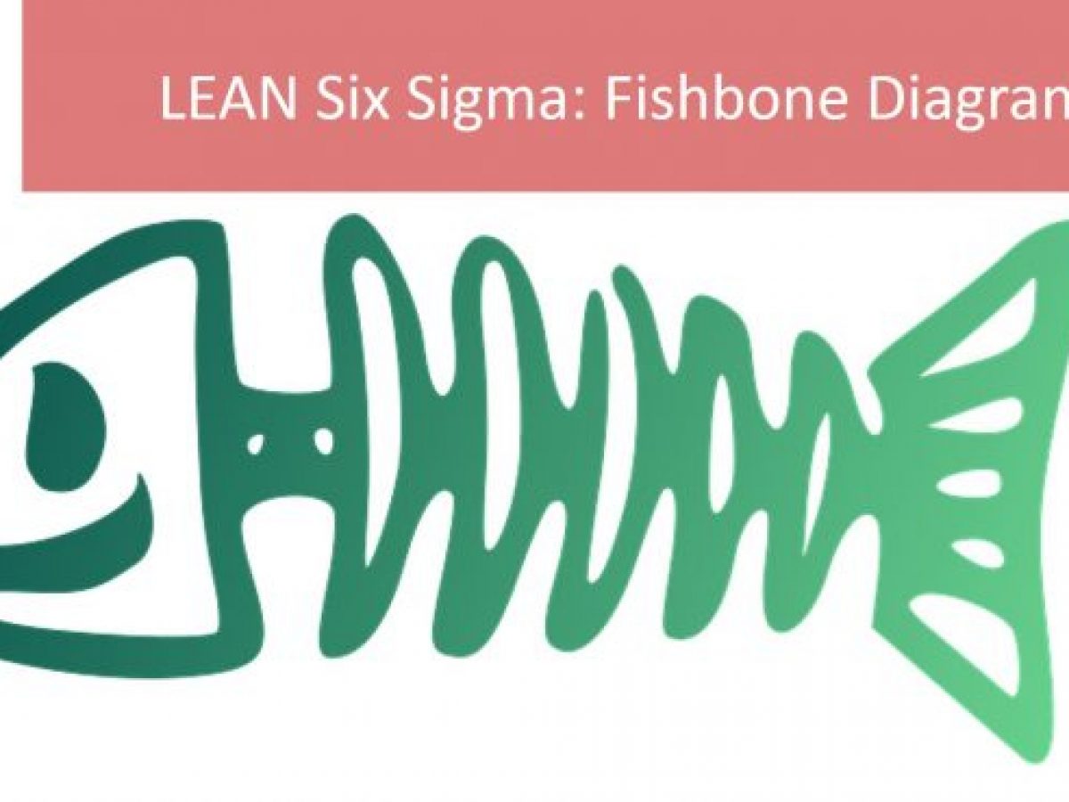 9 Steps For Constructing The Fishbone Diagram