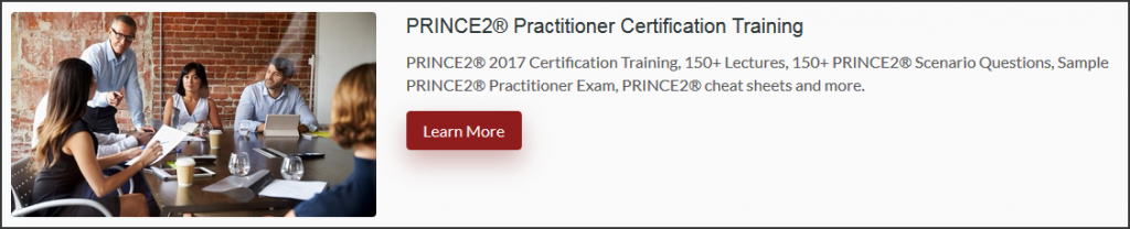 project team leads prince2