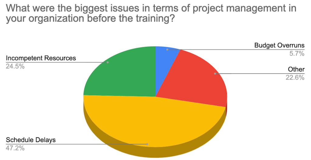 Project Management Issues in Organizations