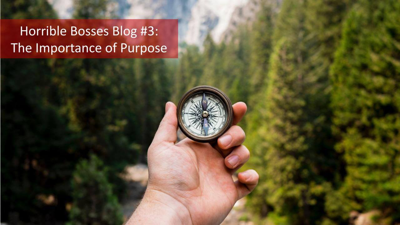 Importance of having a purpose