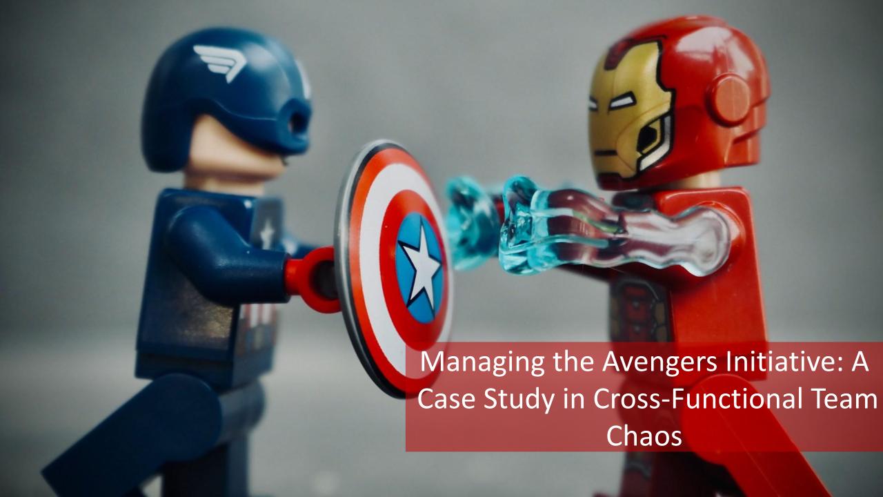 Managing the Avengers Initiative: A Case Study in Cross-Functional Team ...